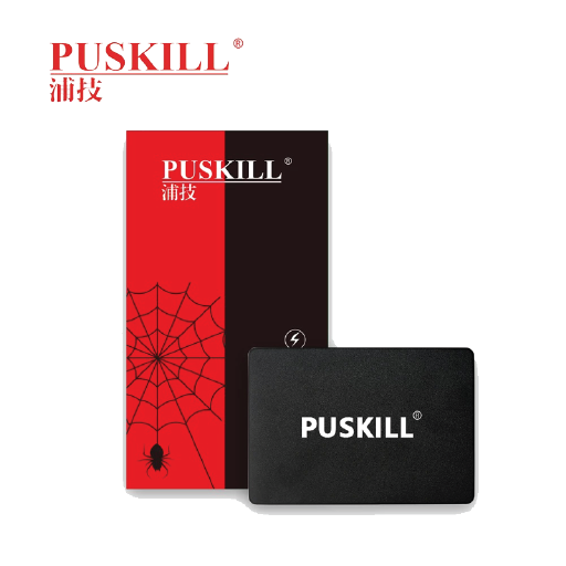 PUSKILL 128GB SSD Drive